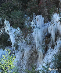 ��̨���ƹȱ�ѩ���羪������!