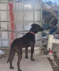 ƵƵ��ɽ����̨����Ӧ������