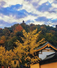 �붬�����״Σ����ܻ������������