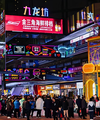 ȫʡ���������������������������壡