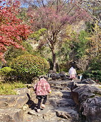 ����ɽ��԰���һȦ