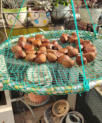 �����˵��ǻ�