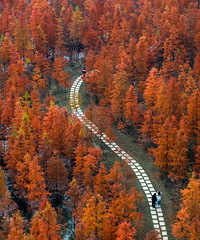 �ٺ�������ͼ��������ý��