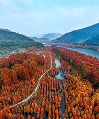 �ٺ�������ͼ��������ý��