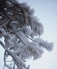 ����̨��ح������죬��������ڡ�ͱ��ң�