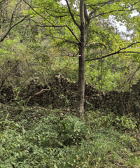 šաȥΣ㽭ʡһŵŵӭ