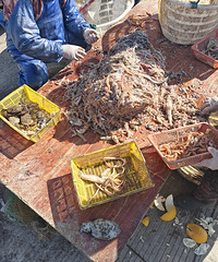 ·����㺣�ʣ�Ϻ15�ƤƤϺһ����