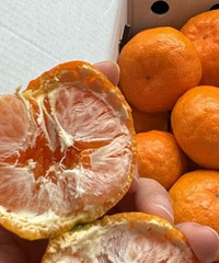 ��������Ϊʲô��������