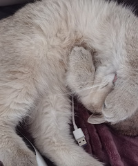 ���оñ��ط꣬���Ǻþò�����