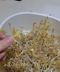 �Լ����Ķ�ѿû�пƼ���ݻ�