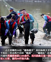 ����֧̯��ȫ���磬һ��ѧ����5����ѧ����ѳ���