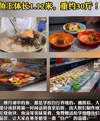 ����֧̯��ȫ���磬һ��ѧ����5����ѧ����ѳ���