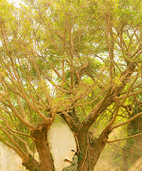 ���������֣��ĵ�ʱ��û������֪������������ͻȻ����