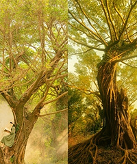 ����������