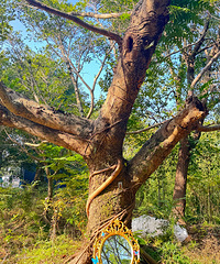 ����������