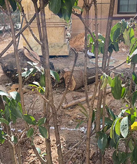 ̨���н�������ҽֵ��ڿ���ԷС������������С�������ˣ�ţ����