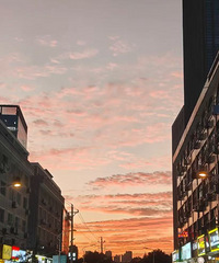 �������Ͻ��е㿴������¥����רҵ��ʿ��������