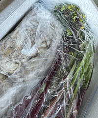 Եϼҵĵһ۲̦һ˰̲