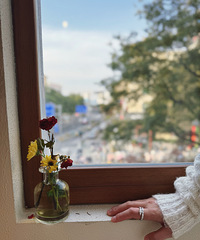 ��Ĳ�ֹ������