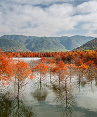 ��̶ˮ�������&ţͷɽˮ�������