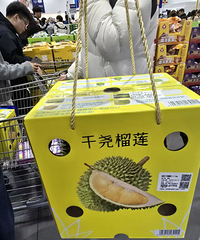 ɽķ���ݵ꿪ҵ��ȫ�����������ˡ�