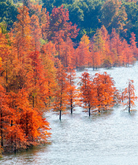 �����ĺ������������������������Լݴ���Ϣ