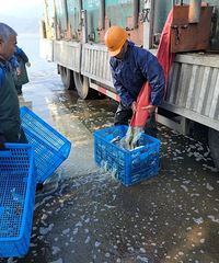 12.48�򣬳�̶ˮ��ӭ������ס����