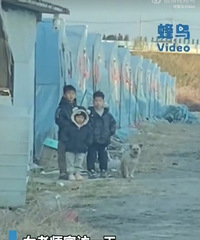 ��ʦ�ҷý��������ú�С��·��Ŀ�ͣ� ������֪��Ҫ�׶�������