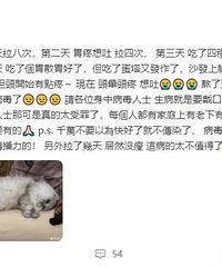 ��俷��ĳƱ���Ⱦ����������5��������