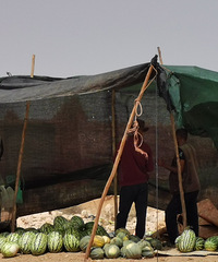 [����ŵ��]������ʲʮ��������֮һ