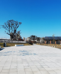 ���п�����������δ������