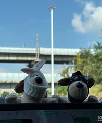 ���������̫����