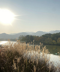 �����������棬���