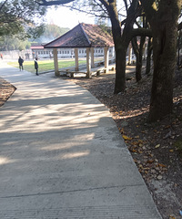 ����·������20�����ˣ�ÿ������