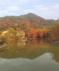 ����ɽ��԰�ĺ�����