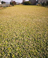 ������˫����ӳ���ˮ�����Ƿ���������