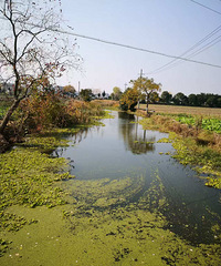 ������˫����ӳ���ˮ�����Ƿ���������