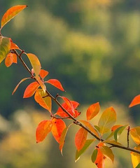 ���ˣ����ò��������Ӯ�ˣ�