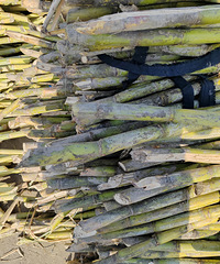 15��һ��ĺ�����20��һ������������