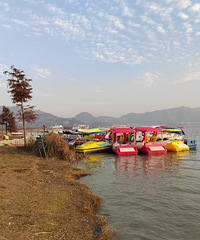 �������ĺ�����