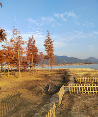 �������ĺ�����