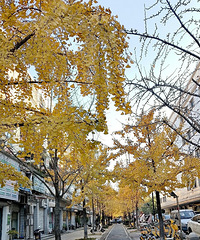 ��һ�궬����������