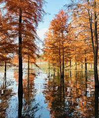 ̨�ݿ�ʼ���£�����һ���������