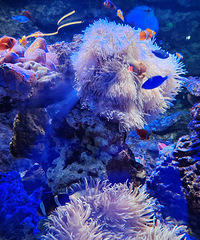 ��һֱ���ң�������᲻�ᱻ����Ե�ѽ��