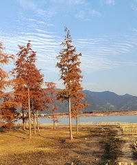 ������������