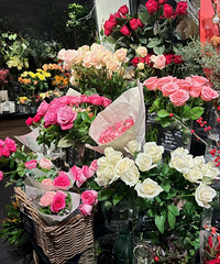 �����ƽ��ҹ�����ʥ����8���Ŀ���9����Ԫ��37��󴺽�