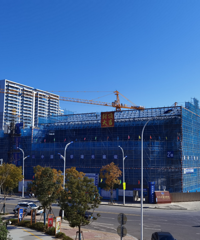 ̨�ݻ���·����������Сѧȫ��ᶥ