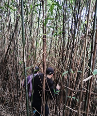 �����߻�Ϫ̹��ɽ��ɽ������ʯ����