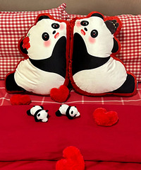 ��è��ѹ������