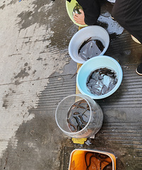 Ұ�����������˲μۣ�һ������